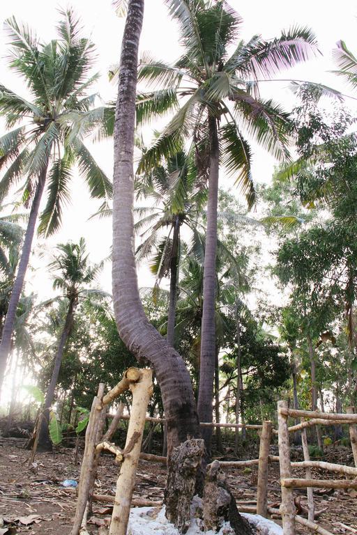 Nyuh Bengkok Tree House Hotel Batununggul Exterior foto
